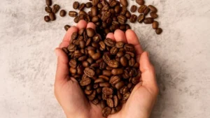 7-varian-biji-kopi-unggulan-nusantara-yang-mendunia
