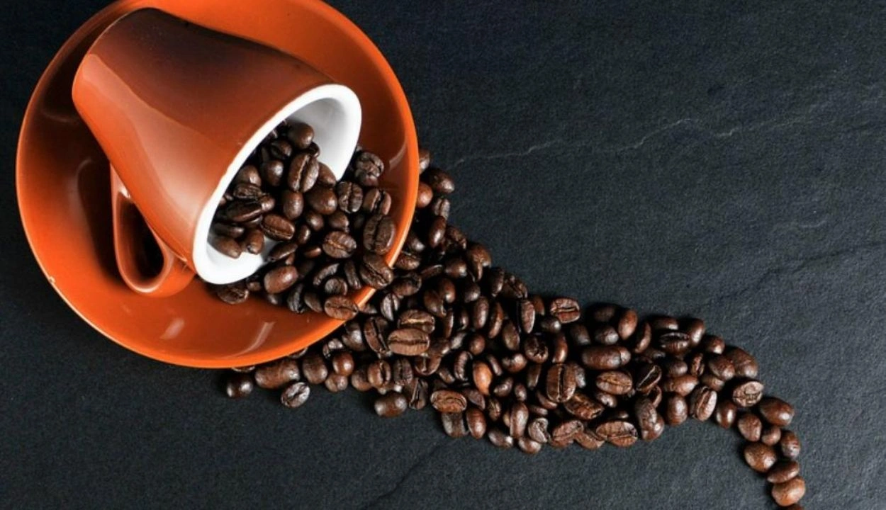 mengenal-rasa-unik-kopi-excelsa-yang-mirip-buah-buahan